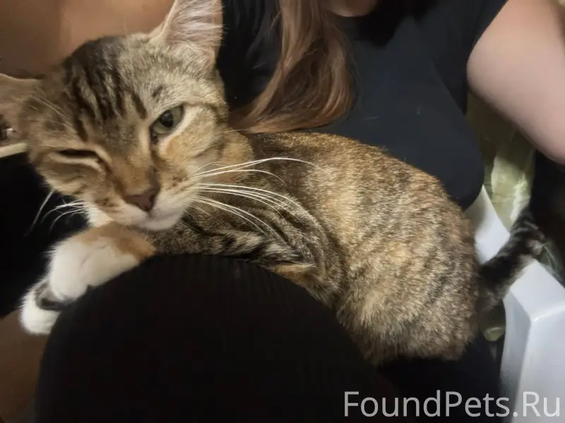 Здравствуйте 🤝 Пропала любимая...