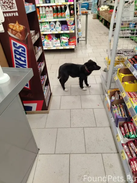 #Калуга Ул. ПЛАТОВА, ПЯТЁРОЧКА...