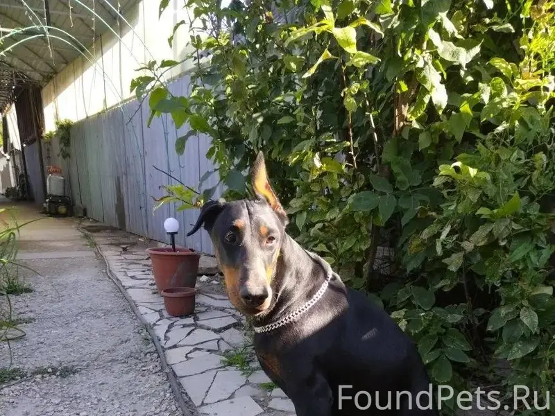 🆘🆘🆘🆘🆘 Пожалуйста,помогите найт...