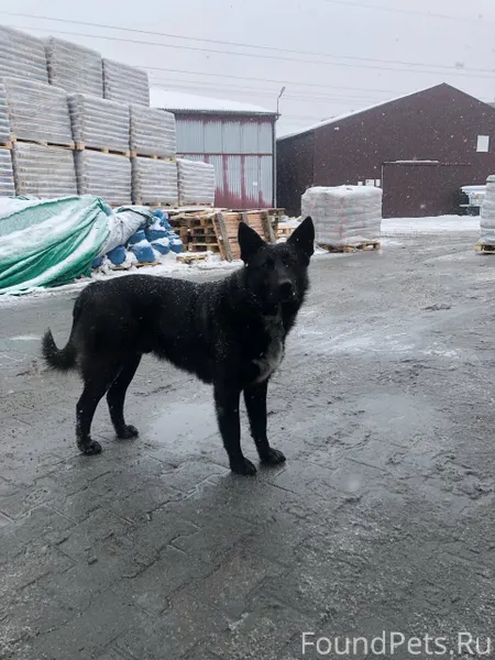 Здраствуйте, появилась в поле ...