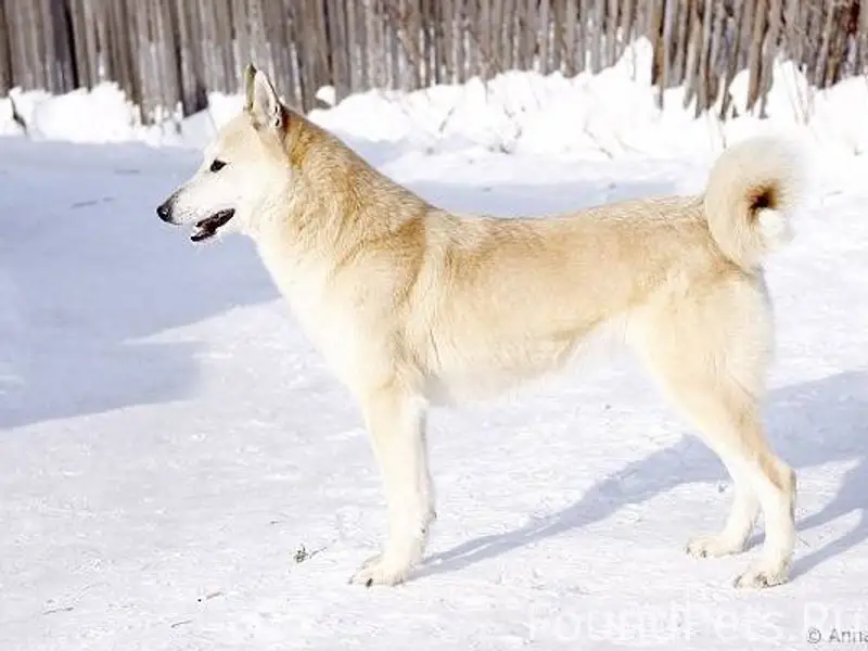 Доброго времени суток! Может, ...