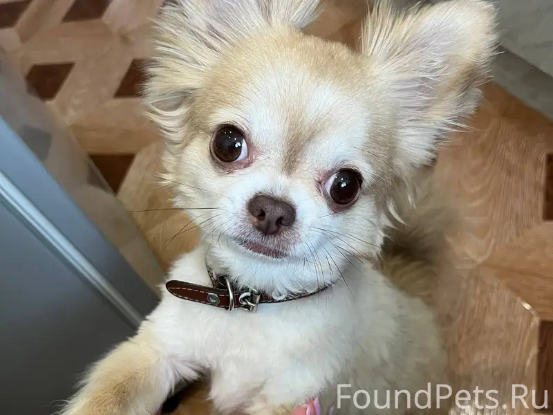 #Бгдпомоги SOS!!! Жители город...