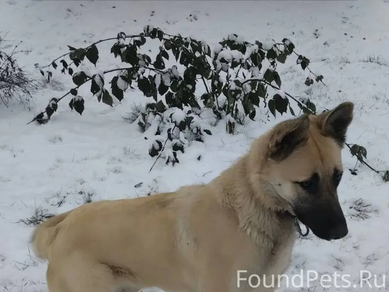 🆘🆘🆘🆘 Под Белорецком пропала со...
