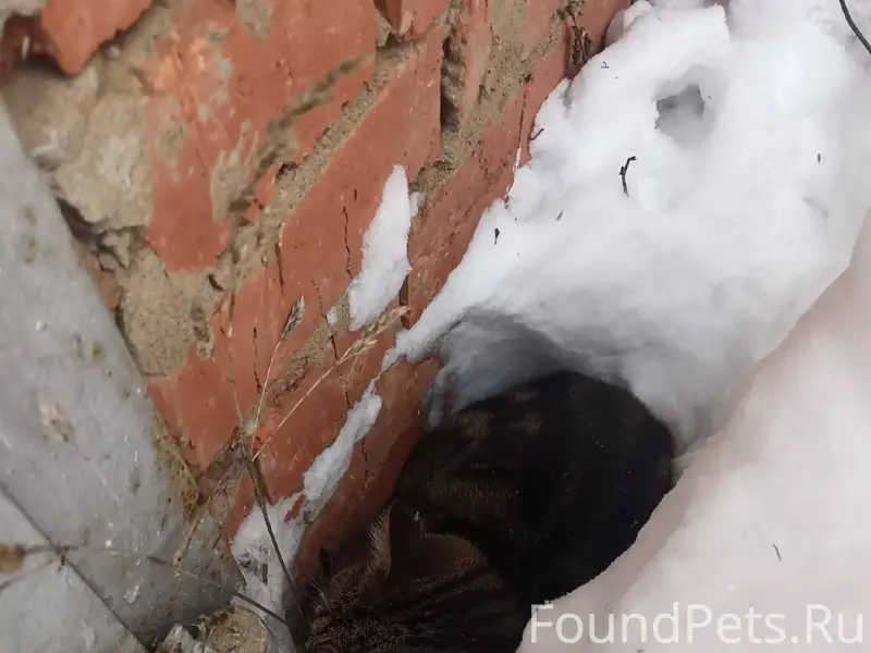 На Нефтеразведке около гаражей...