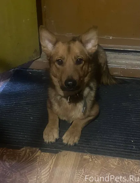 7 февраля на остановке у Алиас...