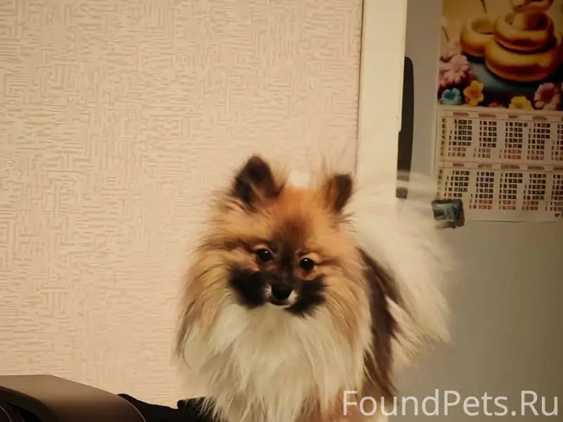 !!!! внимание!!!! В городе Кос...