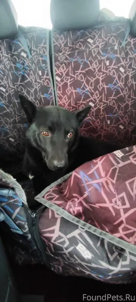 Пост от нашей подписчицы. ❗❗ИЩ...