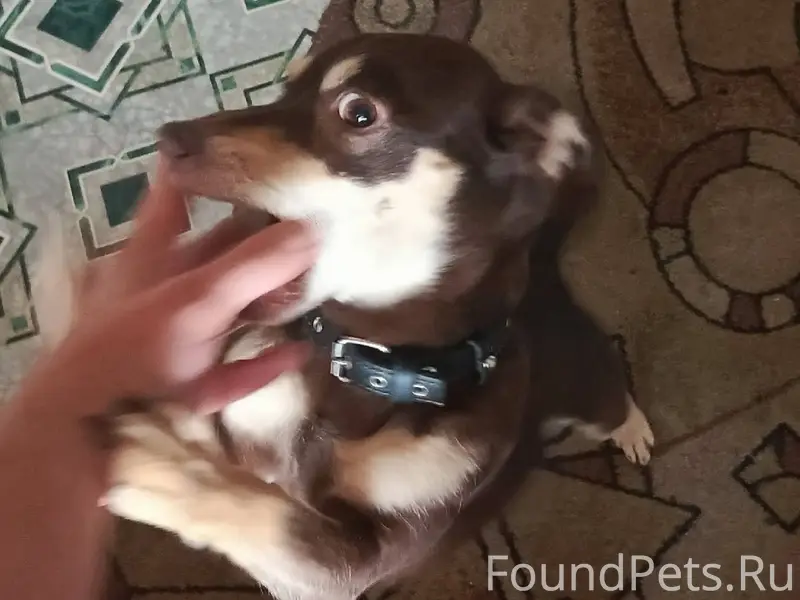 #Черныйсписок #Ржев ‼️‼️‼️Поте...