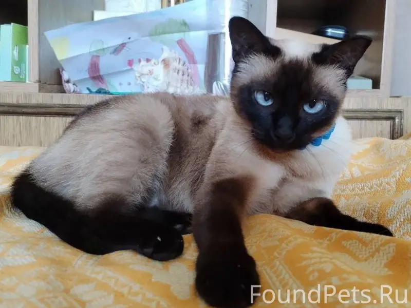 Пожалуйста опубликуйте 🙏 ПРОПА...