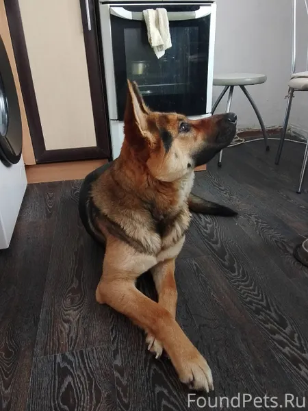 Г. Ижевск. Найдена молодая дев...