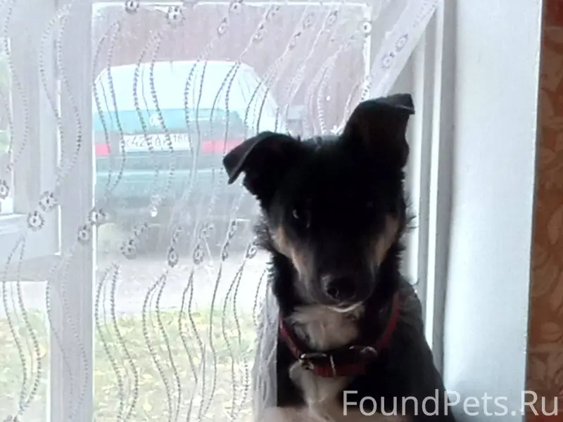 Здравствуйте. Час на зад на пе...