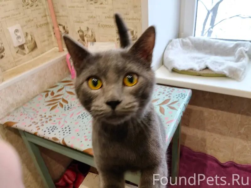 В Индустриальном районе, во дв...