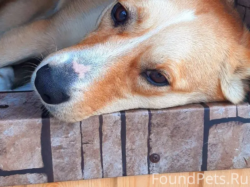 Поиски пропавшей 5 января из К...