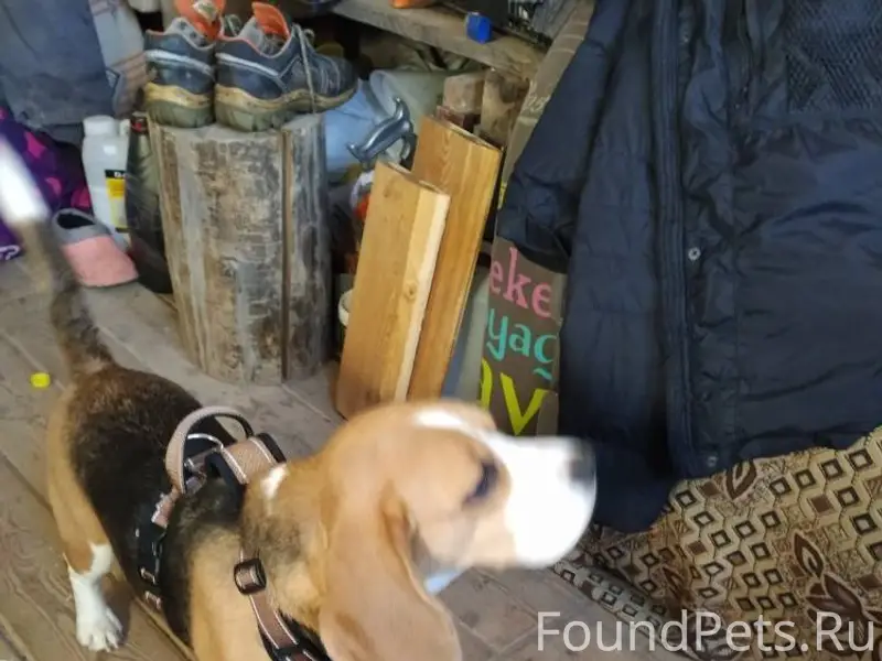 08.02 в СНТ "Нива" 11...