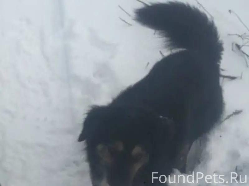 В снт Железнодорожник пропала ...