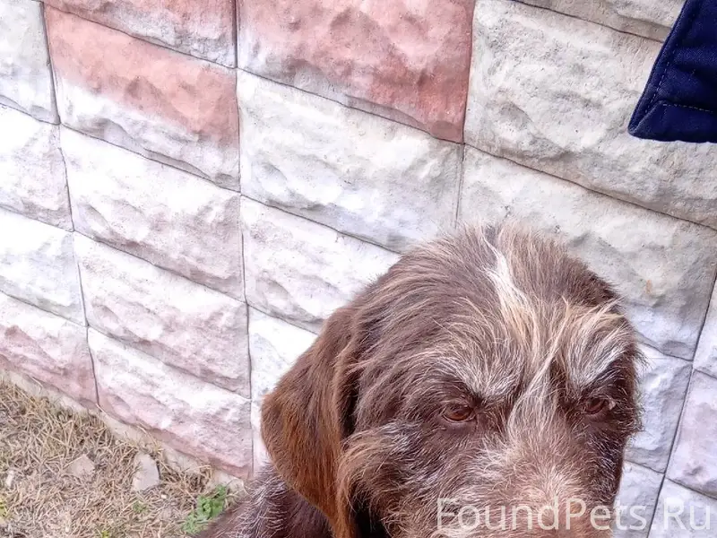 Добрый вечер. Просьба опублико...