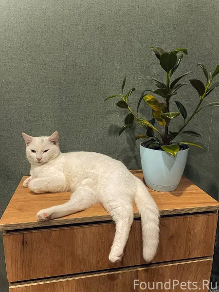 #Калуга #Калужская_область Убе...