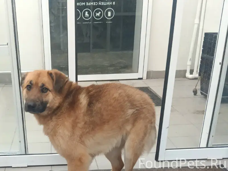 Пос. Солнечный! Вот такой маль...