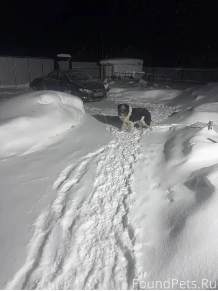Собираюсь в посёлок Визябож, ч...
