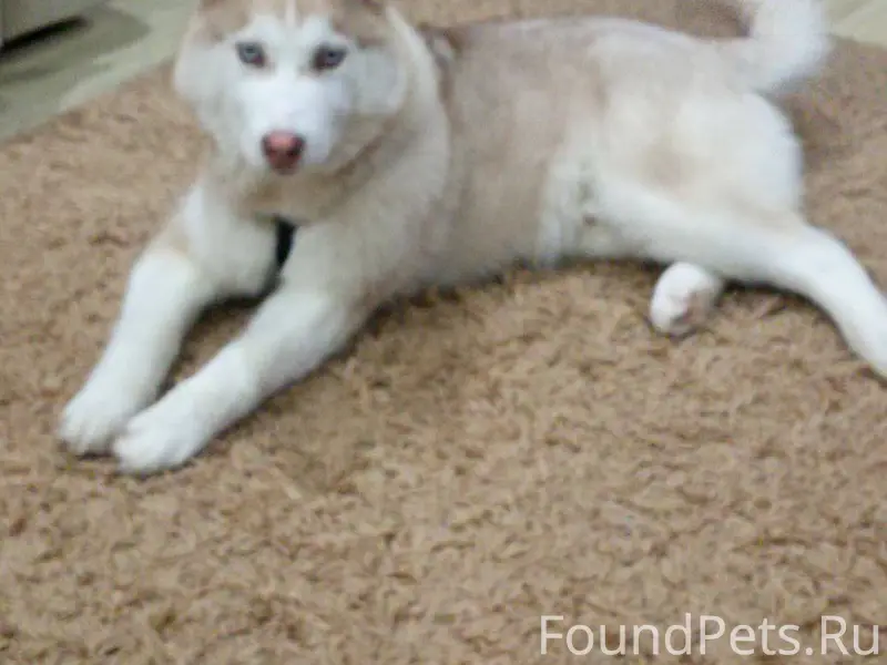 ❗️УЛЬЯНОВСК, друзья, сделайте ...