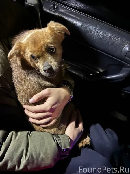 07.02.2026г. в районе Аэропорт...