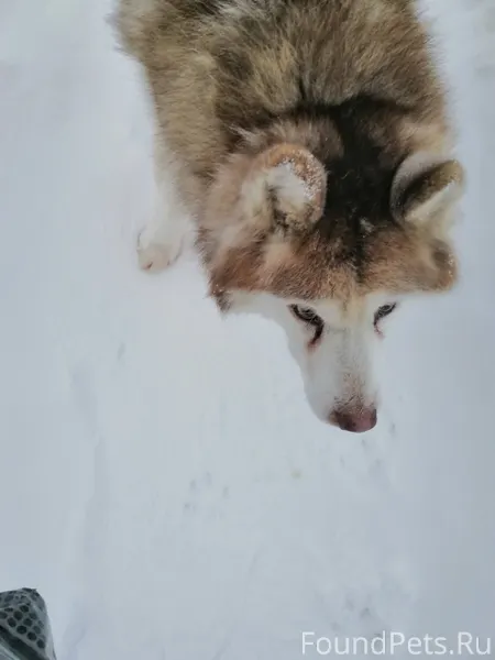 Хозяева, вы где? По Усть-Качке...