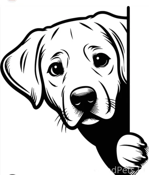 Помогаю информационно! Внимани...