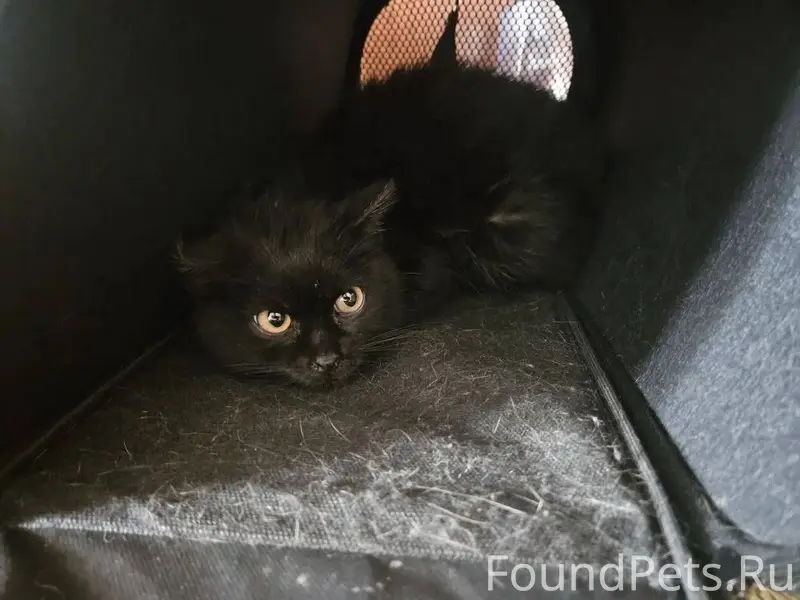 Здравствуйте! Сегодня с утра н...