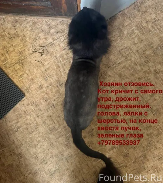 Добрый день, помогите найти хо...