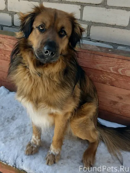 Здравствуйте! Вчера (08.02.) в...