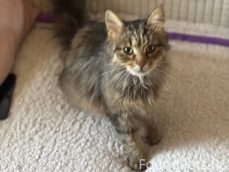 Просили разместить 🙏 Найден ко...