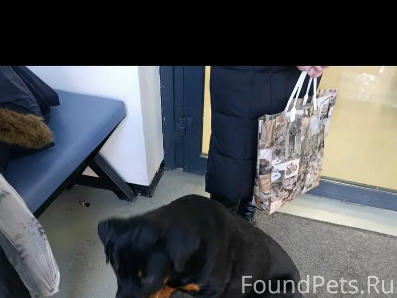 Возле Оружейника Кутузова 30 н...