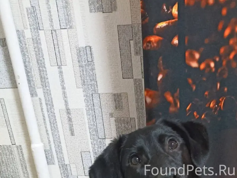 Ребята, очень нужна ваша помощ...