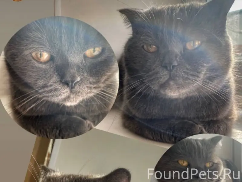 Не теряем надежду найти нашего...