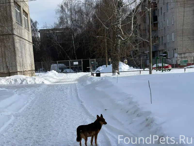 На улице Интернациональной (Ж/...