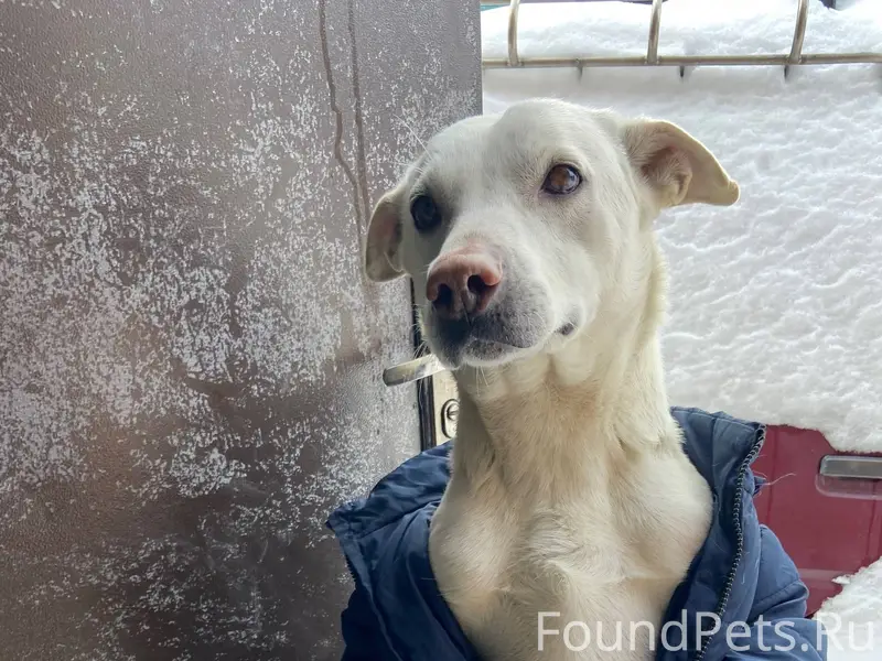 08 февраля 2026 года около 17....