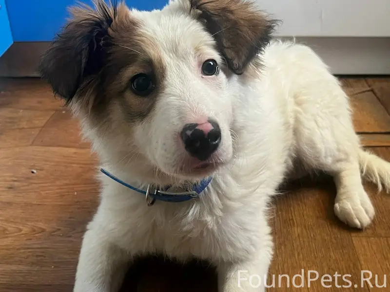 09.02.26 в 11:20...