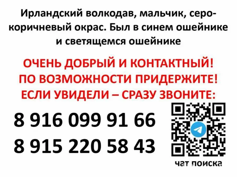 Пропала черная огромная собака Ирландский волкодав