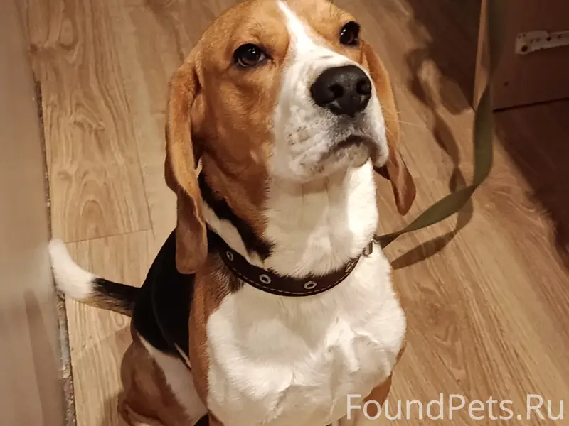 Пропал Джек, район Перебор