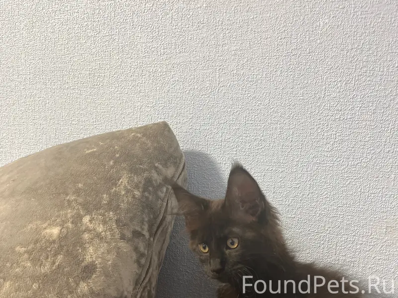 Пропал Мей-Кун, район Якитории