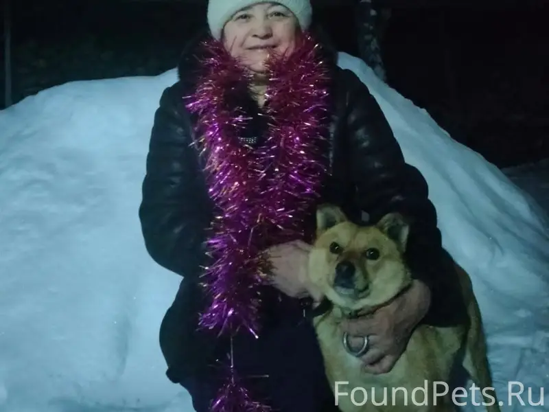 Пропала небольшая собака, с. Учалы