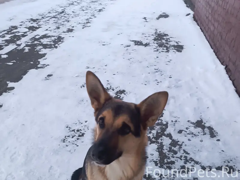 Найден ВЕО, территория КМЗ