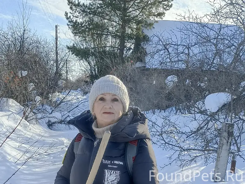 Найда — собака из дачного посёлка, жива