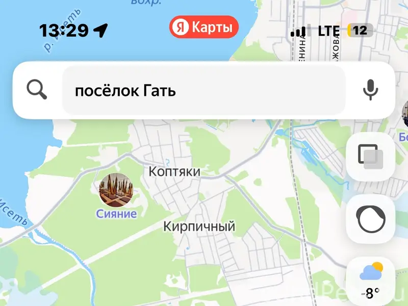 Найден овчароид, станция Гать