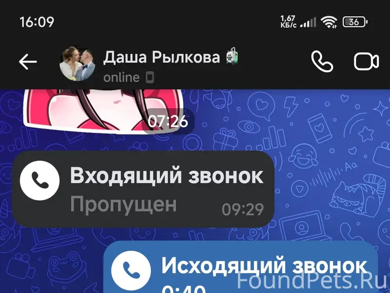 Пропала собака Боня, нижнее селение