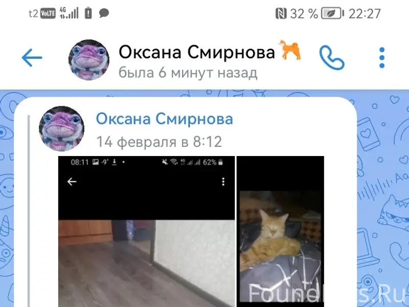 Пропал кот, [место] проспект Мира 21-25