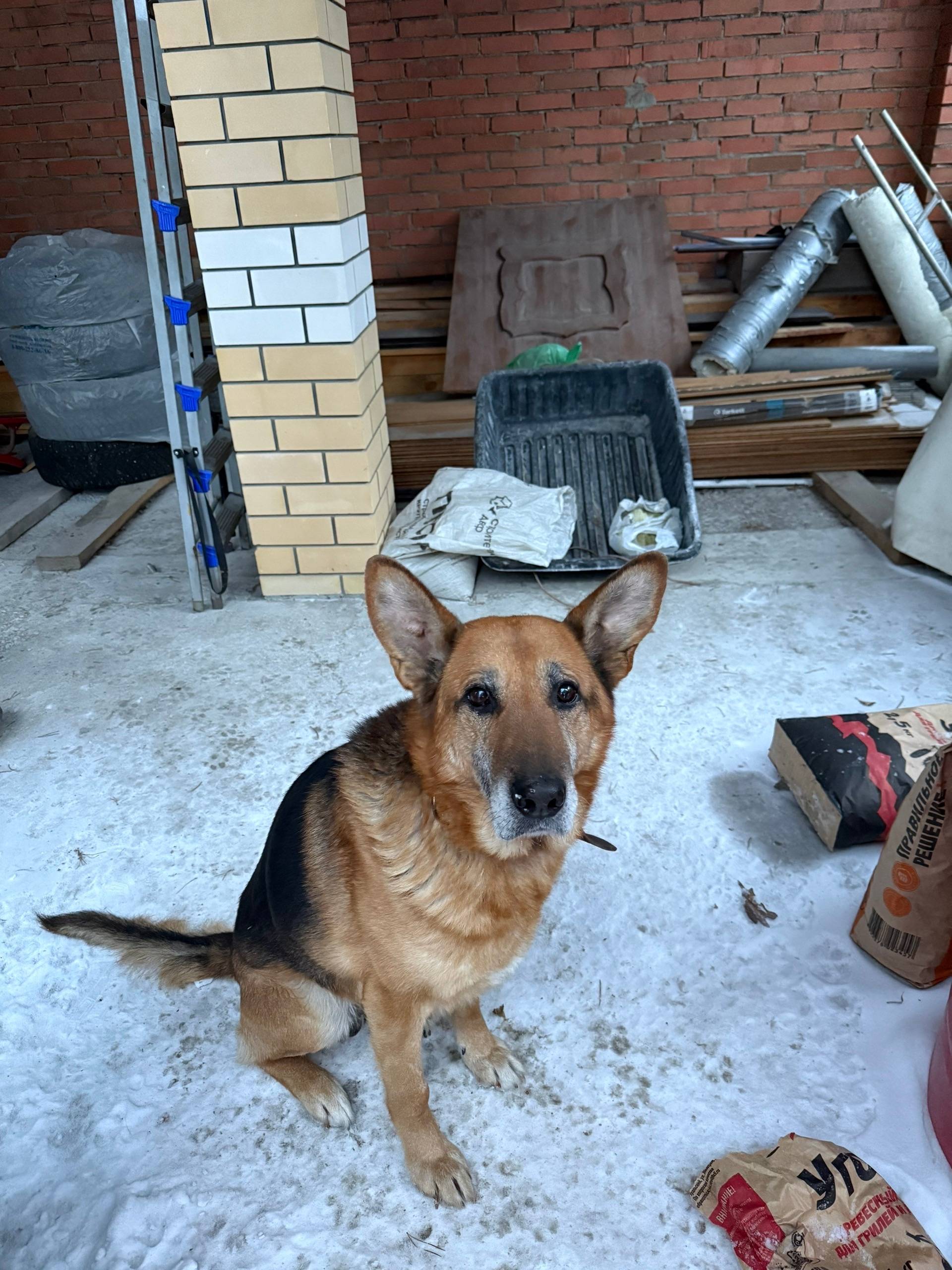 Найден кабель, трасса екад, район ягодный и садовый