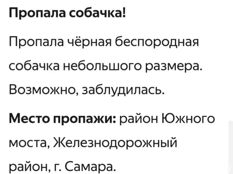 Пропала собака, Железнодорожный район