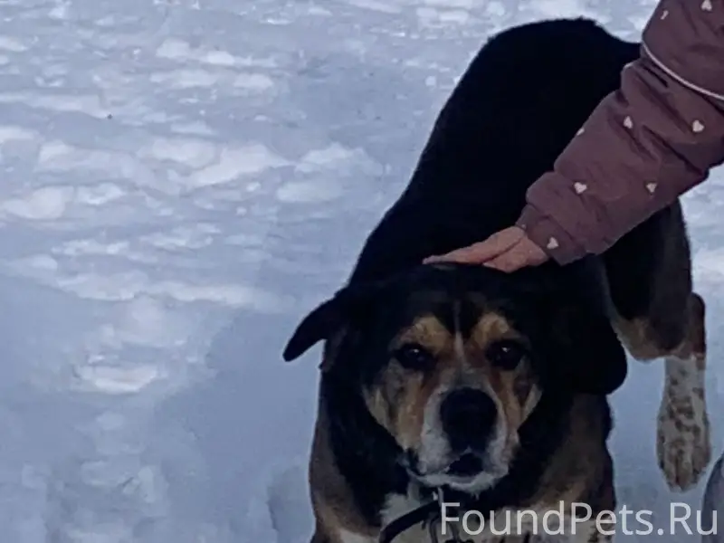 Пропал друг