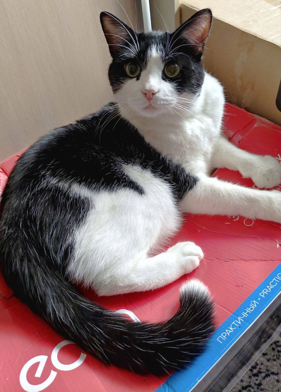 Помогите найти